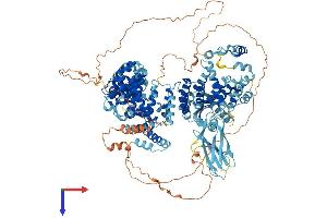 AlphaFold protein structure predicition of Human Recombinant AP4E1 Protein, UniprotID Q9UPM8