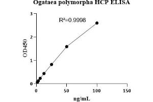 Host Cell Proteins (HCP) ELISA Kit