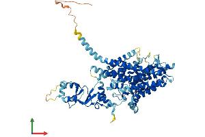 AlphaFold protein structure predicition of Human Recombinant CLCNKB Protein, UniprotID P51801