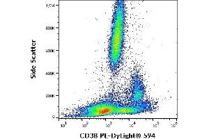 Flow cytometry surface staining pattern of human peripheral whole blood stained using anti-human CD38 (HIT2) PE-DyLight® 594 (4 μL reagent / 100 μL of peripheral whole blood). (CD38 anticorps  (PE-DyLight 594))