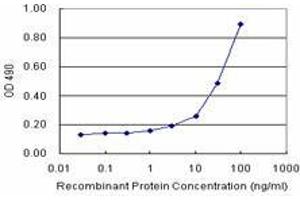 Sandwich ELISA detection sensitivity ranging from 3 ng/mL to 100 ng/mL. (F11R (Humain) Matched Antibody Pair)