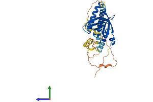 AlphaFold protein structure predicition of Mouse Recombinant Gulp1 Protein, UniprotID Q8K2A1
