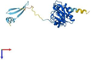 AlphaFold protein structure predicition of Human Recombinant DUSP19 Protein, UniprotID Q8WTR2