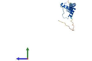 AlphaFold protein structure predicition of Mouse Recombinant Pmf1 Protein, UniprotID Q9CPV5