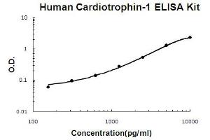 Human Cardiotrophin-1 Accusignal ELISA Kit Human Cardiotrophin-1 AccuSignal ELISA Kit standard curve.