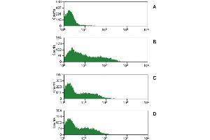 Surface staining of lysed and washed porcine peripheral blood with purified anti-CD16 (MEM-168) (detection by anti-mouse IgM FITC).