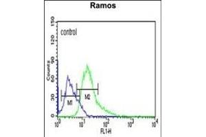 ARHG Antibody (C-term) (ABIN651188 and ABIN2840117) flow cytometric analysis of Ramos cells (right histogram) compared to a negative control cell (left histogram). (ARHGAP30 anticorps  (C-Term))