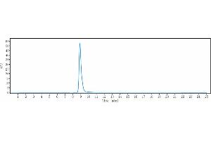 anti-PDCD1 (Spartalizumab Biosimilar) antibody