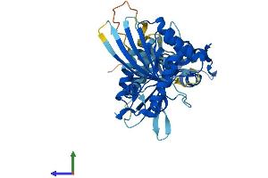 AlphaFold protein structure predicition of Human Recombinant APOBEC3D Protein, UniprotID Q96AK3
