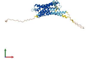 AlphaFold protein structure predicition of Mouse Recombinant Htr5a Protein, UniprotID P30966