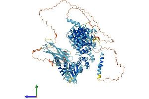 AlphaFold protein structure predicition of Human Recombinant AP4E1 Protein, UniprotID Q9UPM8