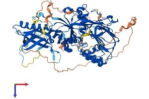 AlphaFold protein structure predicition of Mouse Recombinant Sphk2 Protein, UniprotID Q9JIA7