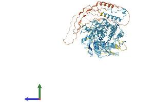 AlphaFold protein structure predicition of Human Recombinant ZNF814 Protein, UniprotID B7Z6K7