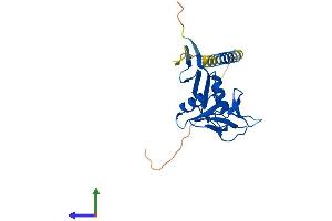 AlphaFold protein structure predicition of Human Recombinant KLRF2 Protein, UniprotID D3W0D1