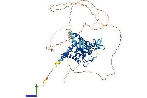 AlphaFold protein structure predicition of Human Recombinant SEPTIN9 Protein, UniprotID Q9UHD8