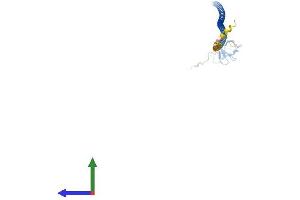 AlphaFold protein structure predicition of Mouse Recombinant Calcoco2 Protein, UniprotID A2A6M5