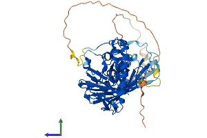 AlphaFold protein structure predicition of Human Recombinant OSBPL2 Protein, UniprotID Q9H1P3