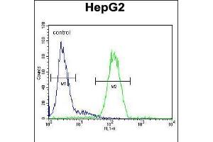 Flow cytometric analysis of HepG2 cells (right histogram) compared to a negative control cell (left histogram). (SERPINH1 anticorps  (AA 169-196))