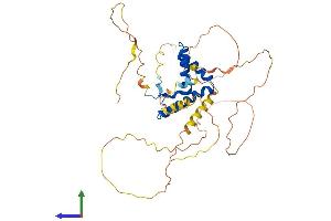 AlphaFold protein structure predicition of Human Recombinant SOX1 Protein, UniprotID O00570