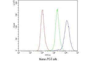 Flow cytometry testing of human PC-3 cells with CASP8 antibody at 1ug/10^6 cells (cells blocked with goat sera) (Caspase 8 anticorps  (AA 410-449))