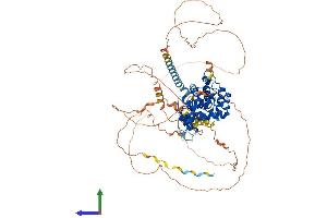 AlphaFold protein structure predicition of Mouse Recombinant Ccnt1 Protein, UniprotID Q9QWV9