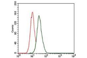 Flow cytometric analysis of HeLa cells using MAP1LC3B mouse mAb (green) and negative control (red).