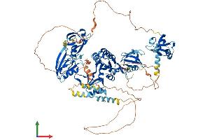 AlphaFold protein structure predicition of Mouse Recombinant Dlg1 Protein, UniprotID Q811D0