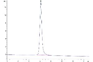 The purity of Cynomolgus CD3E&CD3D was greater than 95 % as determined by SEC-HPLC.