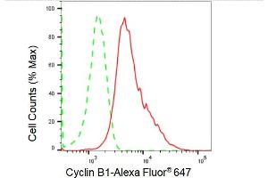 Flow cytometric analysis of Cyclin B1 expression in HepG2 cells using Cyclin B1 antibody (ABIN7798191), 1:2,000). (Recombinant Cyclin B1 anticorps)