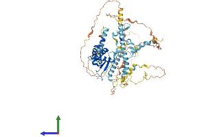 AlphaFold protein structure predicition of Mouse Recombinant Ncaph2 Protein, UniprotID Q8BSP2