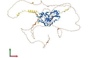 AlphaFold protein structure predicition of Mouse Recombinant Tbx15 Protein, UniprotID O70306