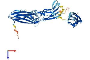 AlphaFold protein structure predicition of Human Recombinant TRAPPC13 Protein, UniprotID A5PLN9