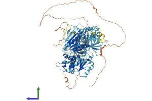 AlphaFold protein structure predicition of Human Recombinant RAD54B Protein, UniprotID Q9Y620