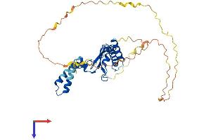 AlphaFold protein structure predicition of Mouse Recombinant Khdrbs2 Protein, UniprotID Q9WU01