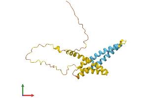 AlphaFold protein structure predicition of Human Recombinant TIMM23 Protein, UniprotID O14925