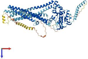 AlphaFold protein structure predicition of Mouse Recombinant Abcd1 Protein, UniprotID P48410