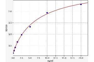 Typical standard curve (EGR2 Kit ELISA)