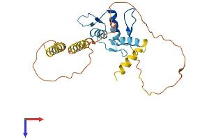 AlphaFold protein structure predicition of Human Recombinant KLF9 Protein, UniprotID Q13886