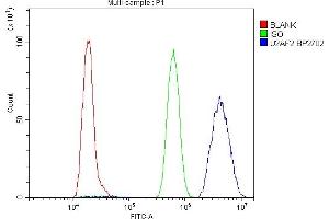 Flow Cytometry analysis of NRK cells using anti-U2AF2 antibody (ABIN7600793). (U2AF2 anticorps  (AA 238-470))