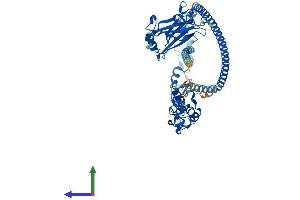 AlphaFold protein structure predicition of Mouse Recombinant Traf3 Protein, UniprotID Q60803