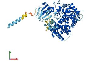 AlphaFold protein structure predicition of Human Recombinant CYP20A1 Protein, UniprotID Q6UW02