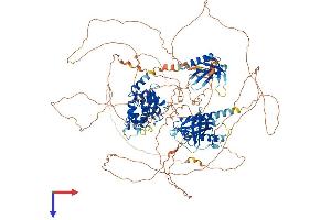 AlphaFold protein structure predicition of Human Recombinant AGAP2 Protein, UniprotID Q99490