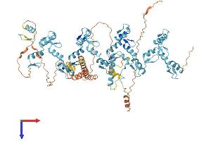 AlphaFold protein structure predicition of Human Recombinant ZNF41 Protein, UniprotID P51814