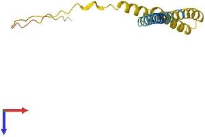 AlphaFold protein structure predicition of Human Recombinant IFITM5 Protein, UniprotID A6NNB3