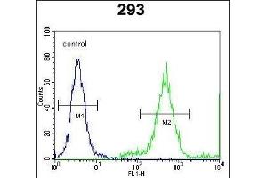 FE Antibody (C-term) (ABIN651998 and ABIN2840489) flow cytometric analysis of 293 cells (right histogram) compared to a negative control cell (left histogram). (FAM26E anticorps  (C-Term))
