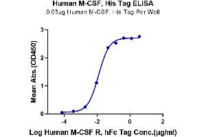 Immobilized Human M-CSF at 0.