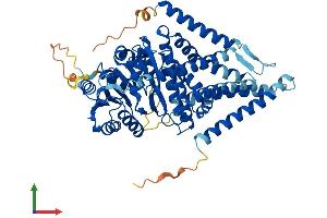 AlphaFold protein structure predicition of Mouse Recombinant Has1 Protein, UniprotID Q61647