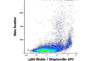 Flow cytometry surface staining pattern of murine peritoneal fluid cell suspension stained using anti-murine Ly6G (RB6-8C5) Biotin antibody (concentration in sample 1,0 μg/mL, Streptavidin APC). (Ly6g anticorps  (Biotin))