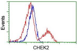 Flow Cytometry (FACS) image for anti-Checkpoint Kinase 2 (CHEK2) antibody (ABIN1497495)