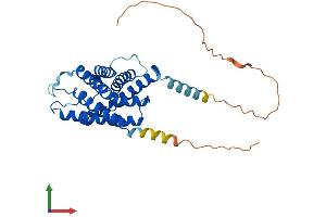 AlphaFold protein structure predicition of Mouse Recombinant Aqp4 Protein, UniprotID P55088